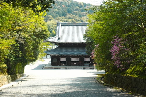 必見 泉涌寺の楊貴妃観音像に 縁結び 美人 安産祈願 京都パワースポット るるぶ More 必見 泉涌寺の楊貴妃観音像に 縁結び 美人 安産祈願 京都パワースポット るるぶ More