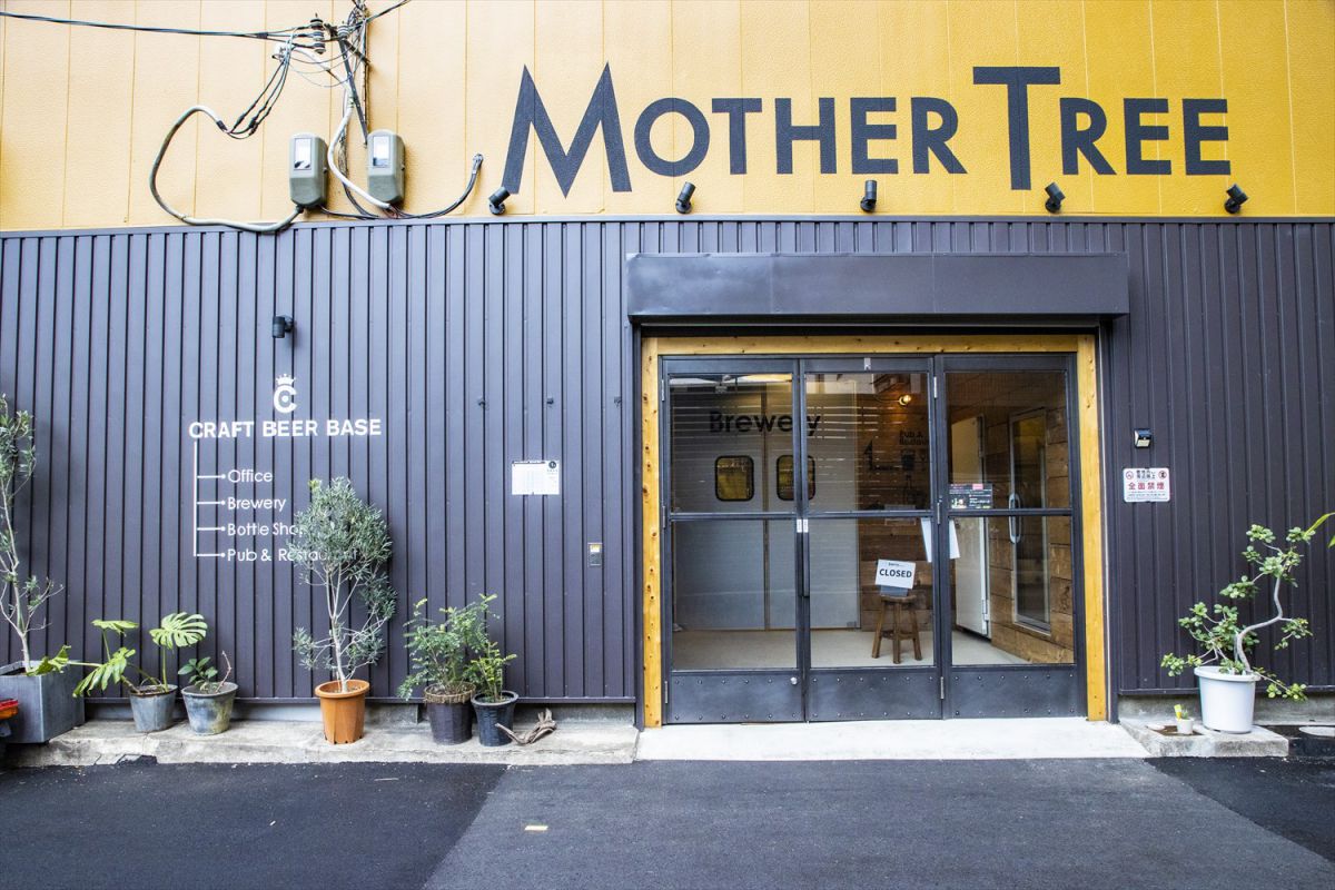 CRAFT BEER BASE MOTHER TREE