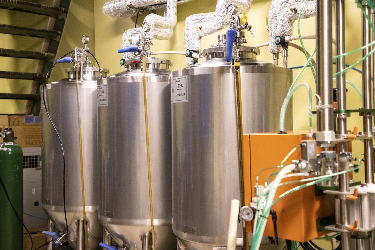 CRAFT BEER BASE MOTHER TREE