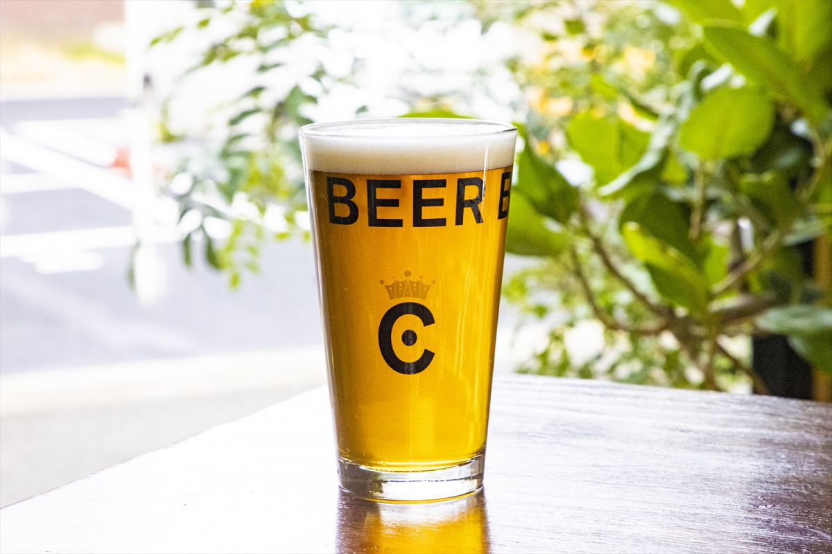 CRAFT BEER BASE MOTHER TREE