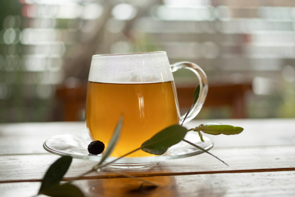 自家製オリーブ葉茶500円