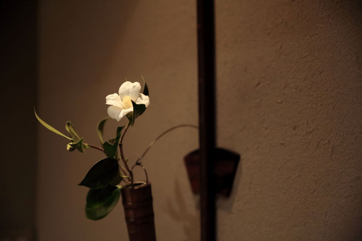 【金沢で体験】ひがし茶屋街「雀」で一見さんOKのお座敷を体験!