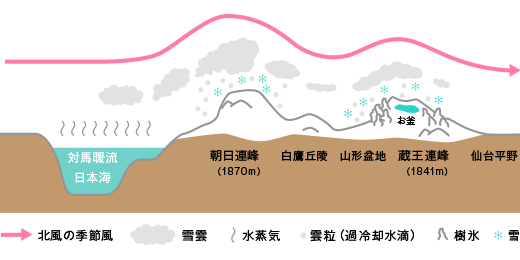 樹氷ができる仕組み