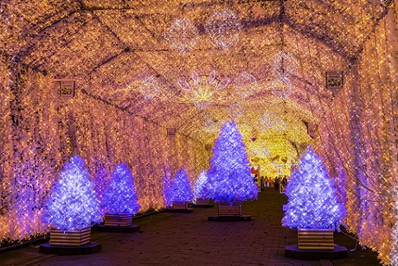 光のトンネルに新登場した「Light of Hope」