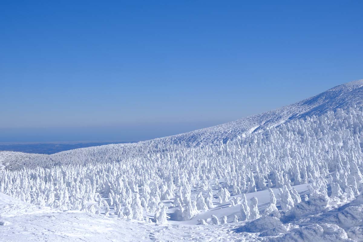 世界に誇る冬の絶景 蔵王の樹氷 22年最新情報も るるぶ More