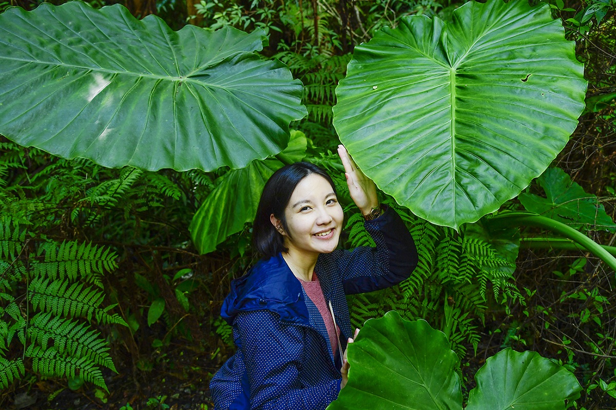 こんな大きな葉っぱもいたるところに。豊かな自然との出会いが忘れられません！