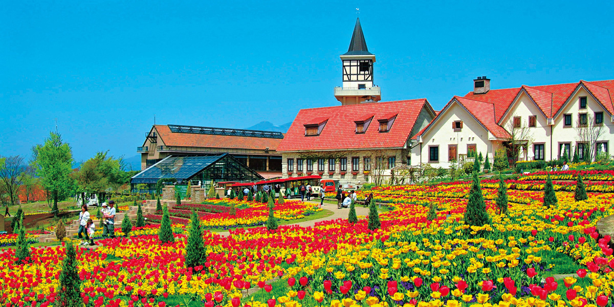 Keikoさんが教えるムーンウェルネス 2022年2月の新月＆満月を狙う開運お出かけスポット