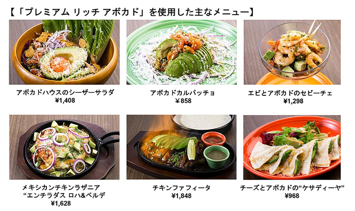 大阪・ミナミに高級アボカド料理店「MEXICAN DINING AVOCADO HOUSE難波」がオープン!メキシコ旅行気分で盛り上がろう!!