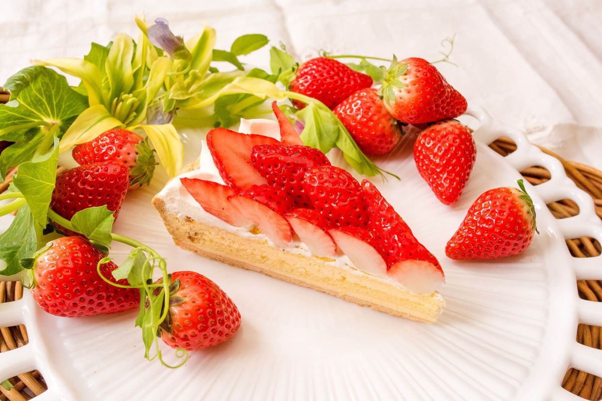 愛媛県産 姫寒紅いちご タルト