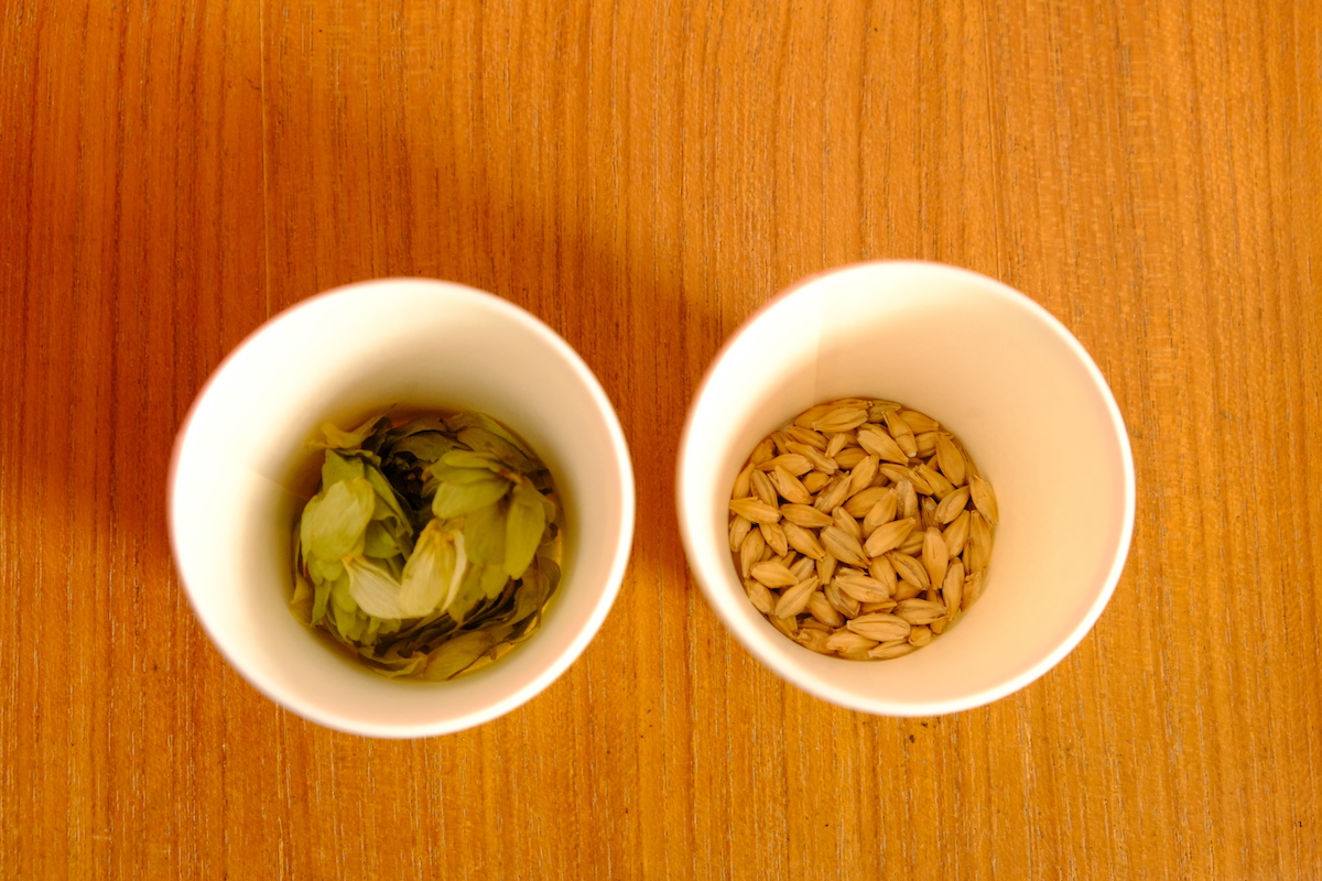麦芽（左）とホップ（右）の素材を体験できる