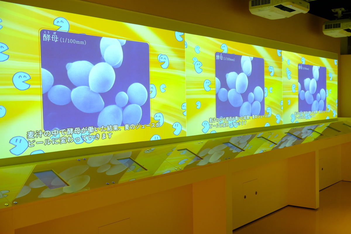 タッチパネルを使って酵母の働きを学ぶ