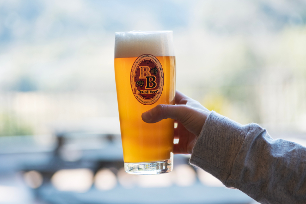 ライジングサンペールエール500ml900円