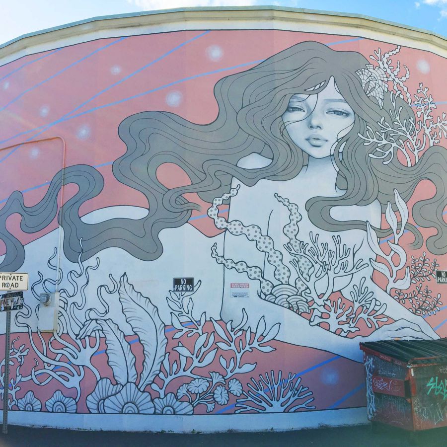 Audrey Kawasaki（2016）