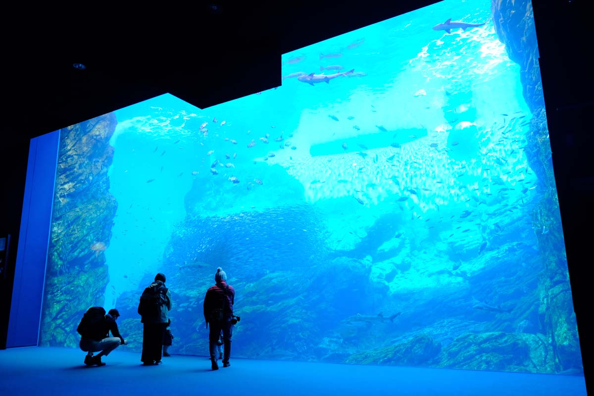 この水族館を象徴する「いのちきらめくうみ」
