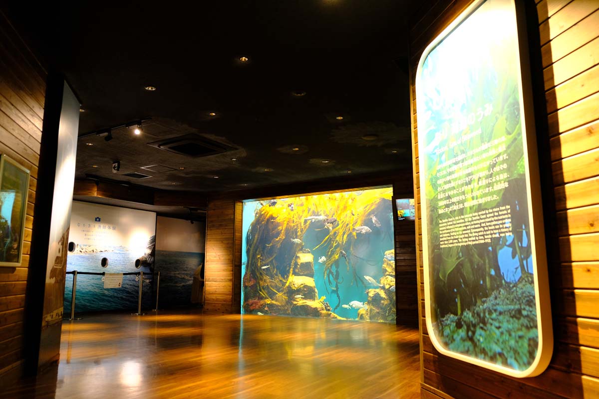 海藻が見られたり、漁師気分になれるコーナーも