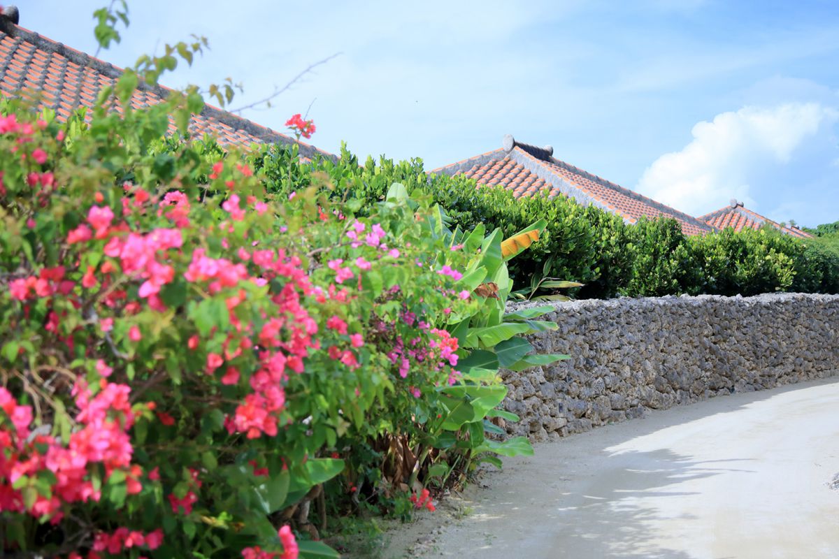 ブーゲンビリアなど南国の草花が風景を彩ります