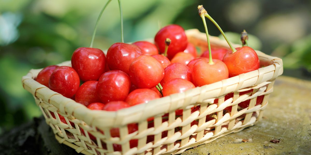 春～初夏の山形へ！絶景、美食・美酒、名湯に出会う旅