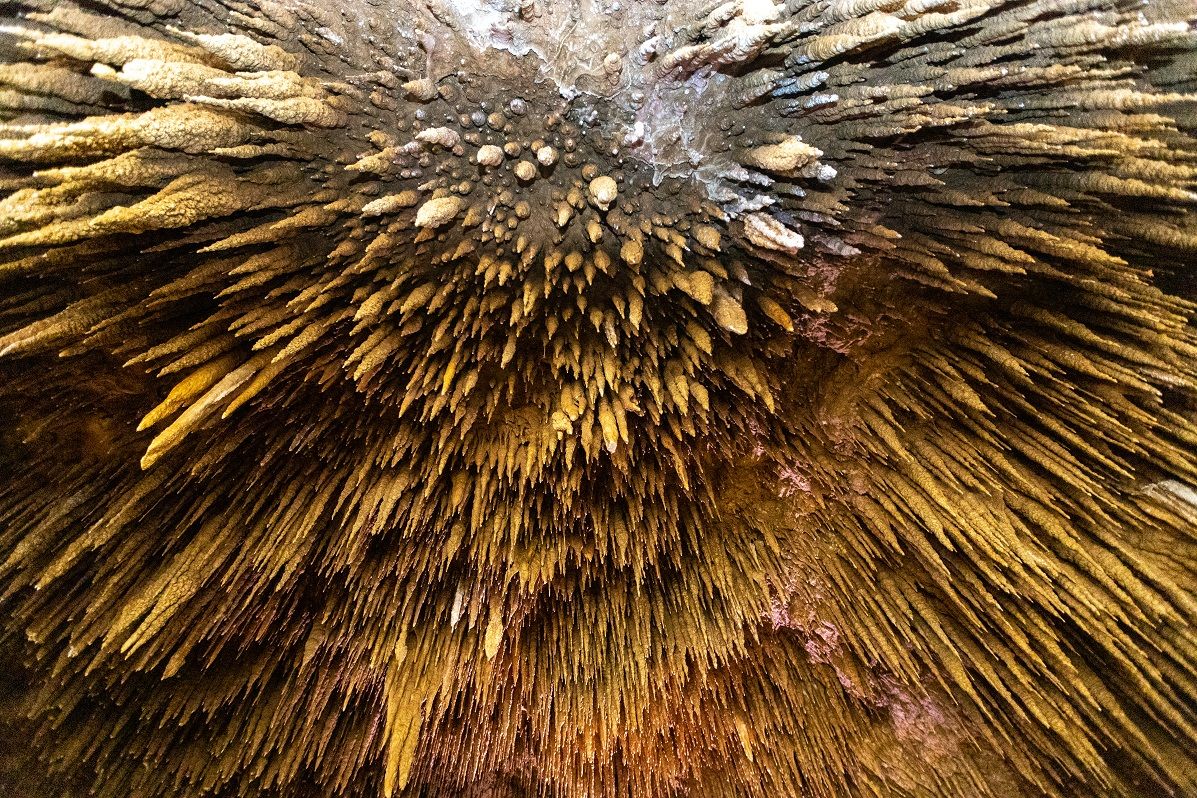 天井から垂れる約2万本の鍾乳石が圧巻の「槍天井」