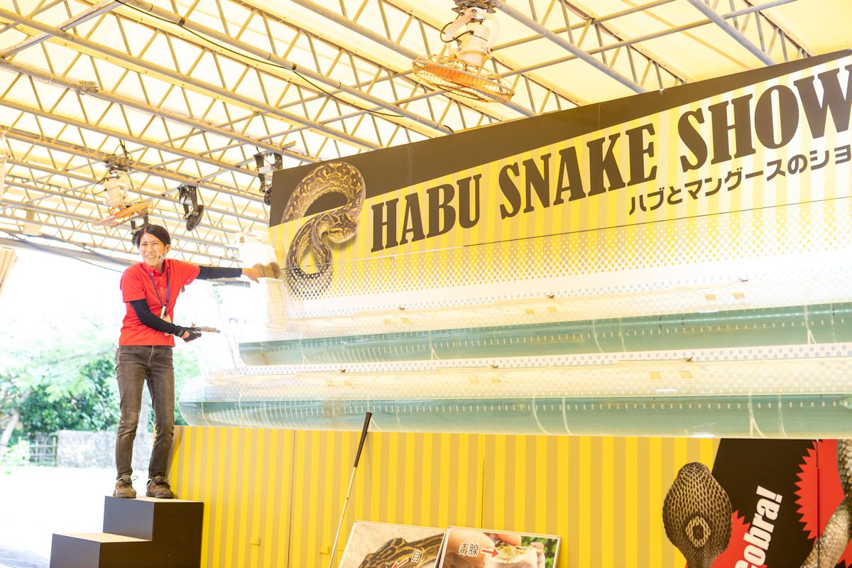 マングースとウミヘビの競泳！勝負の行方は実際に観覧してのお楽しみ