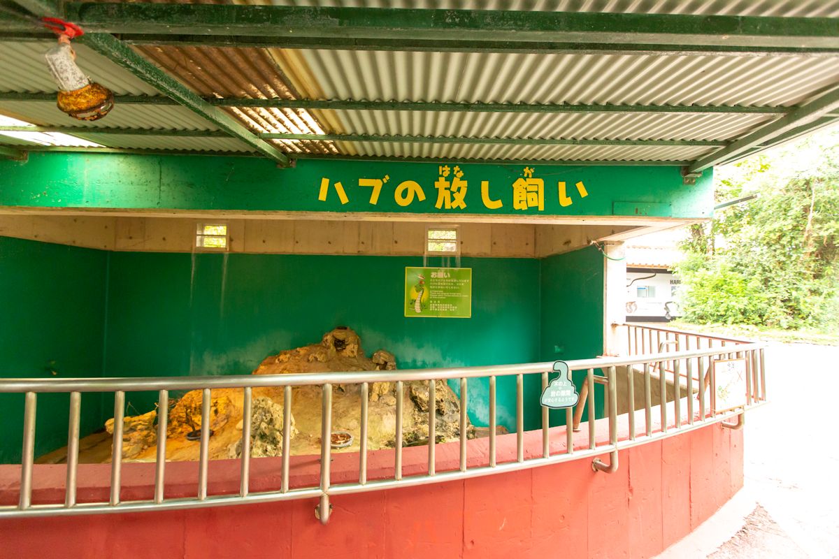 ハブの放し飼いとはいったい…。勇気を出して柵の中を覗いてみよう