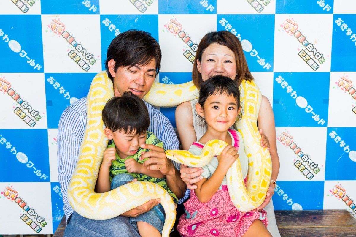 ハブ博物公園の入口では「幸運の白ヘビと記念撮影」1000円を