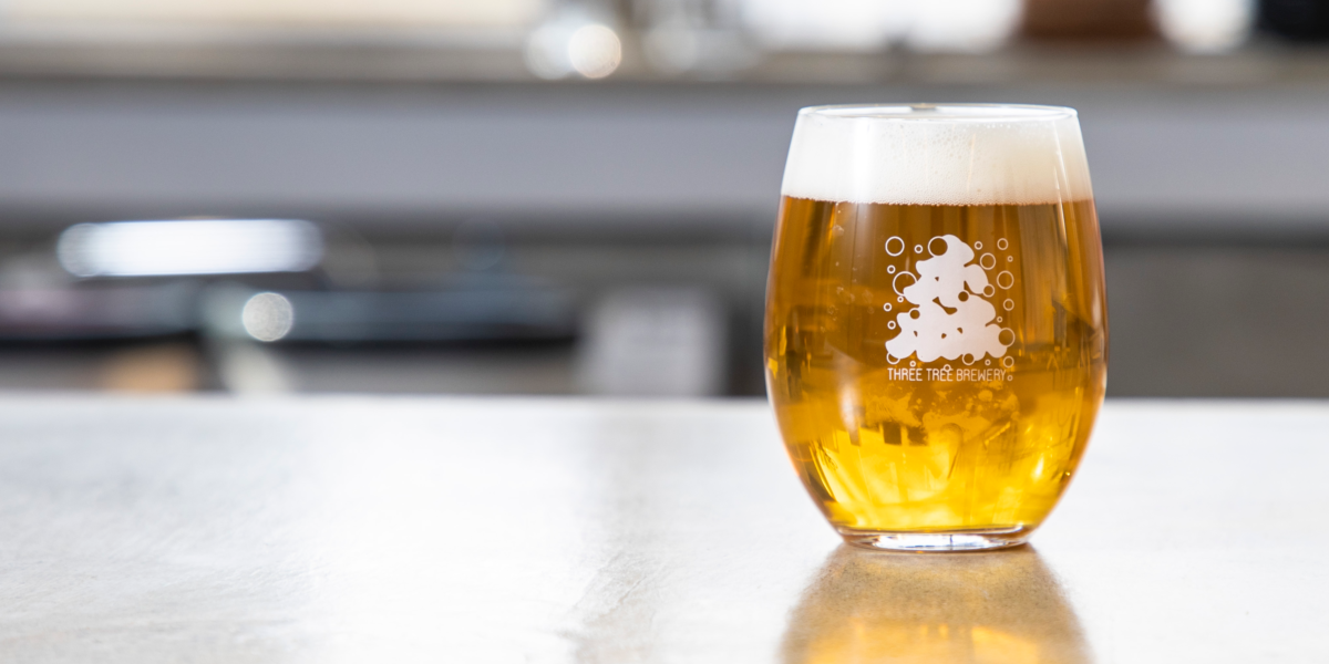 3TREE BREWERY