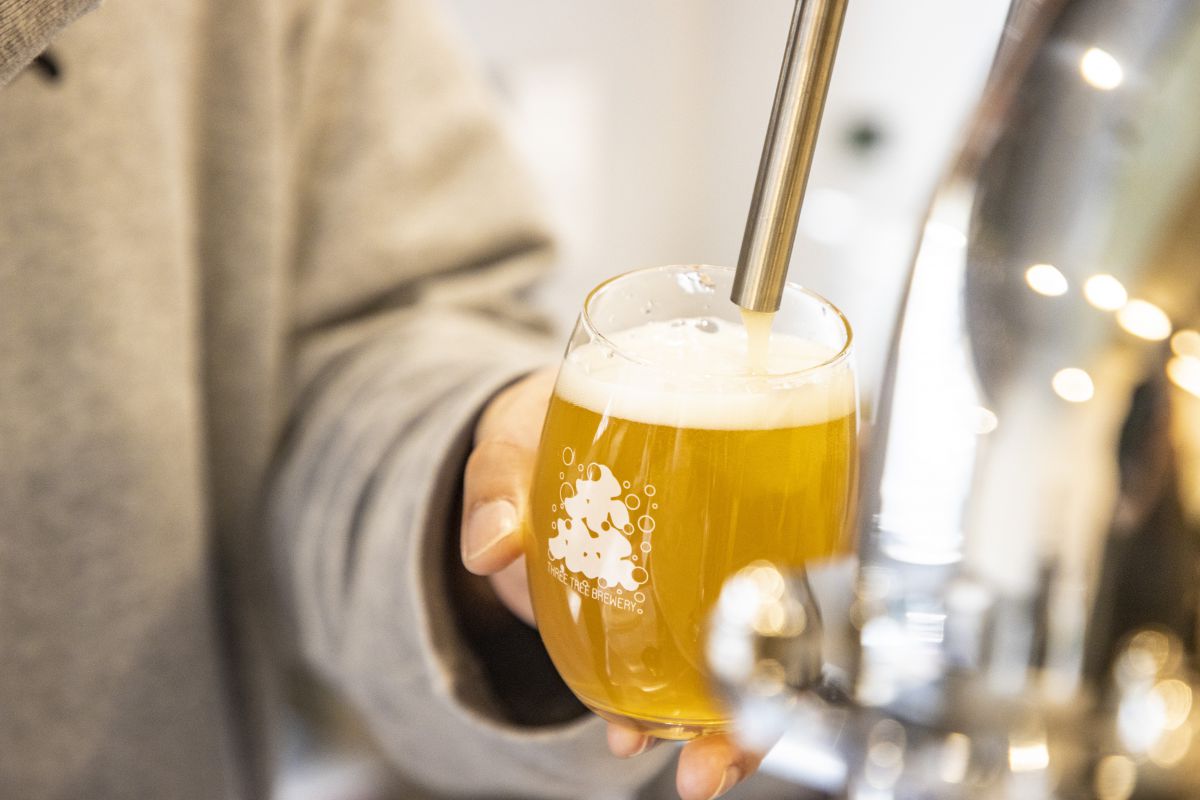 3TREE BREWERY
