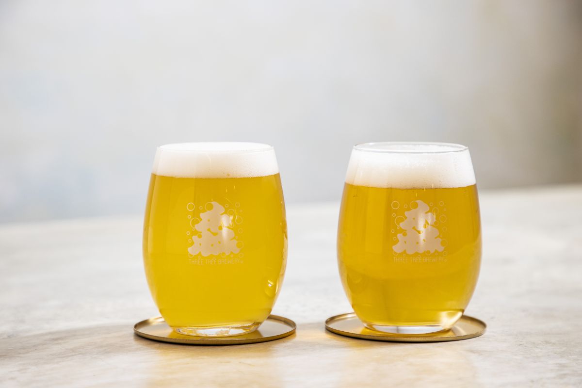 3TREE BREWERY
