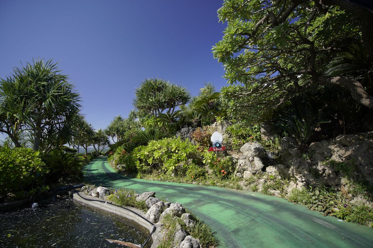 カート道の両サイドにはアダンやソテツなど南国の植物が植栽されトロピカルムードたっぷり