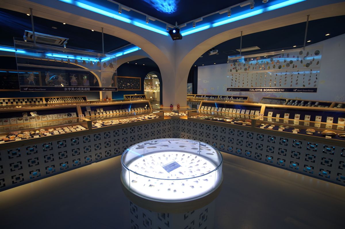 パネルや映像など展示方法も工夫されていて見入ってしまいます