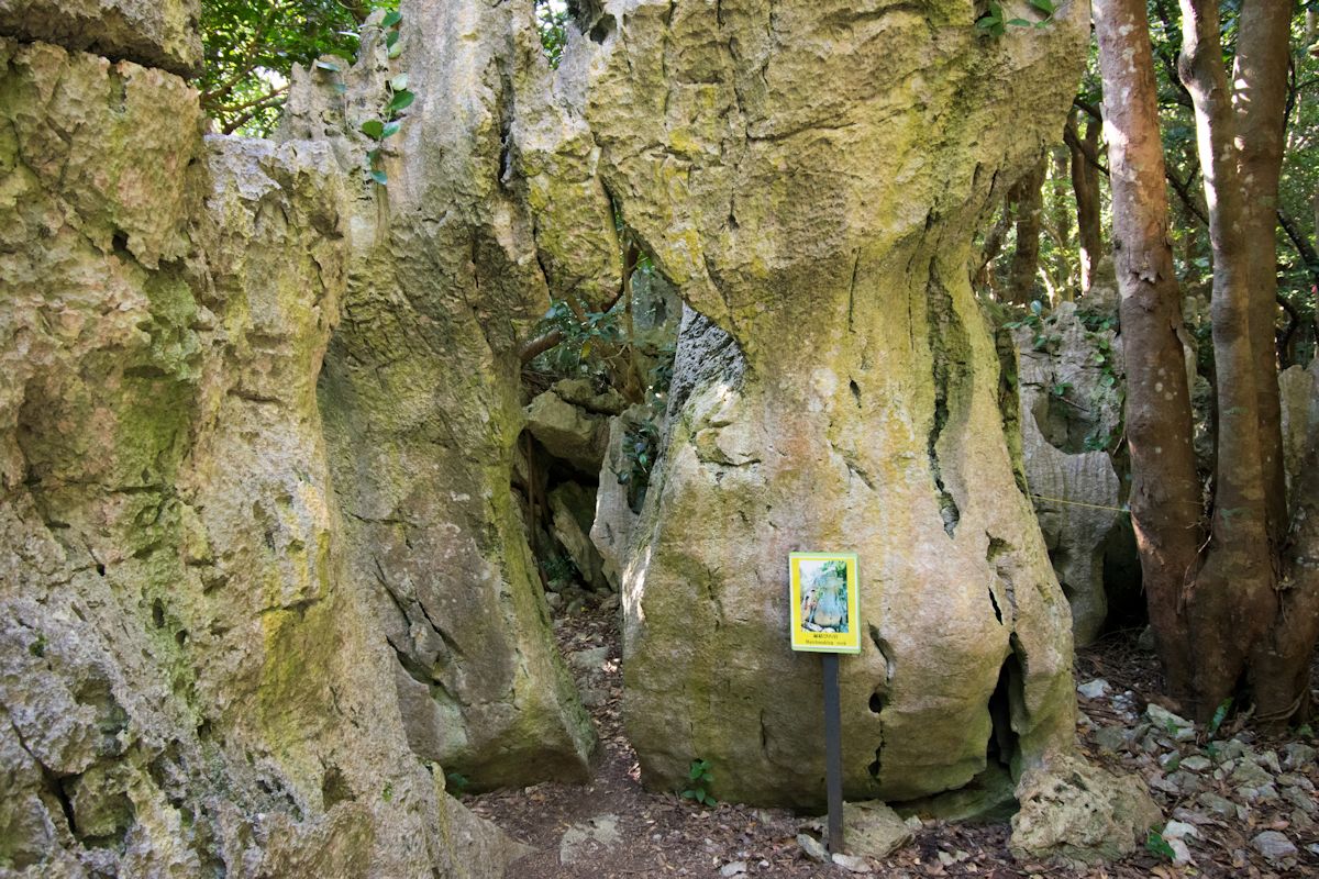 「奇岩・巨石コース」にある「縁結びの岩」