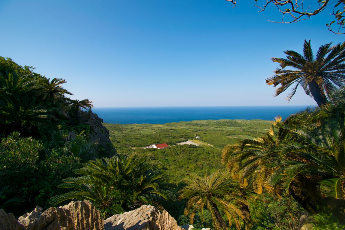 辺戸岬や大海原が一望できる「美ら海展望台コース」