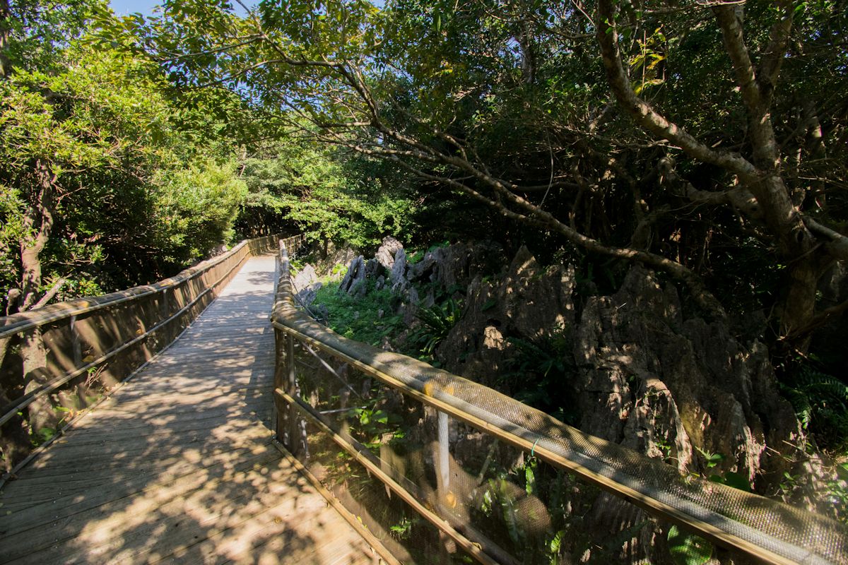 ウッドデッキが整備され歩きやすい「バリアフリーコース」