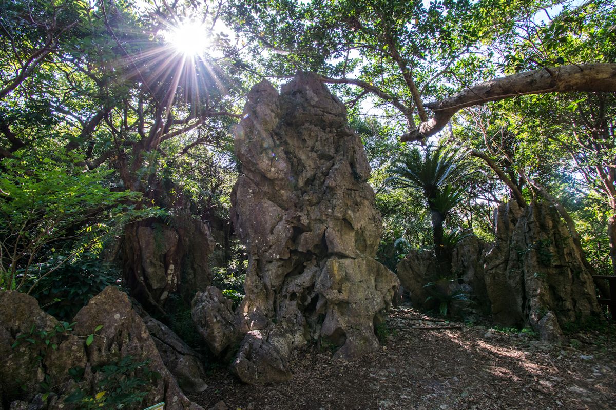 天にそそり立つような大岩が林立する「立神の大岩」。地に降り立つ神を連想させます