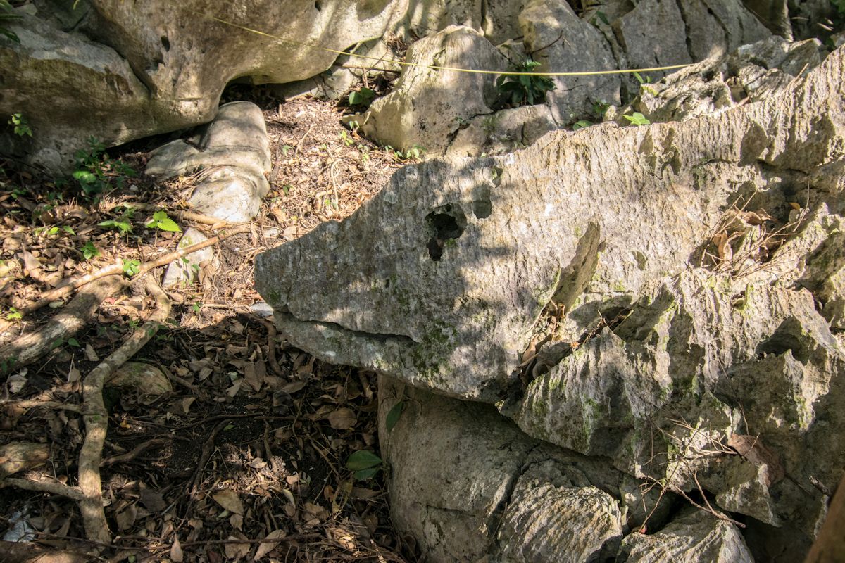 トカゲの顔のように見える不思議な岩もあります