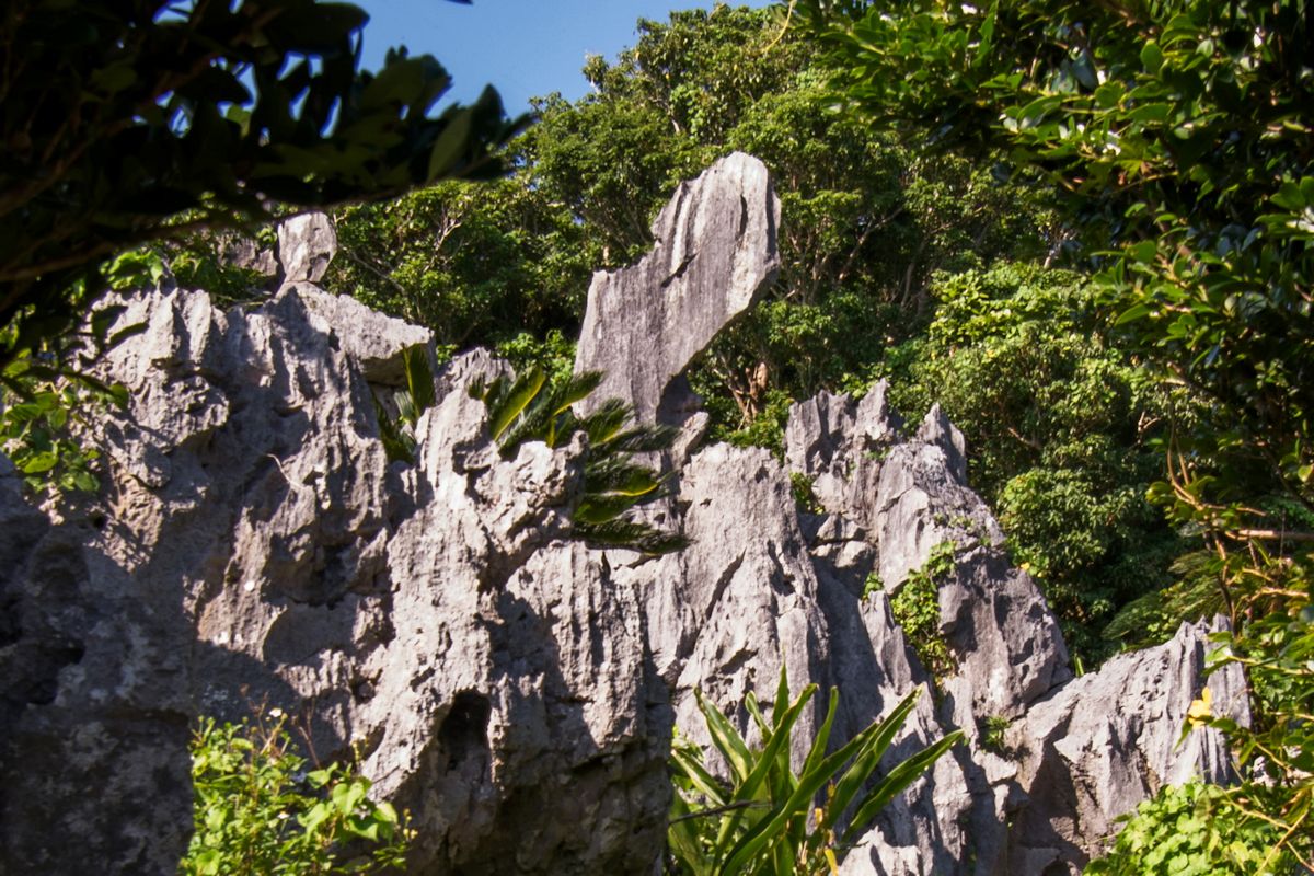 平安時代の帽子、烏帽子に似ている「烏帽子岩」。石灰岩が鋭く尖ったピナクルと呼ばれる地形