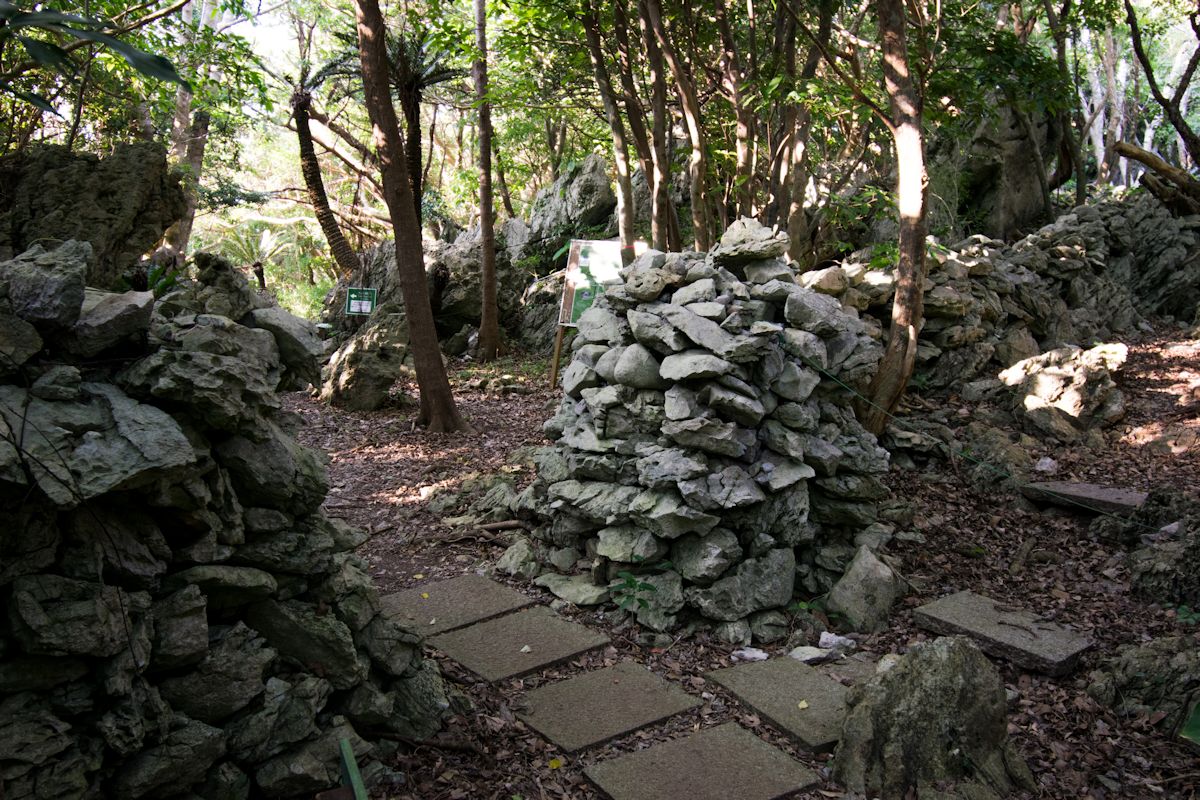 イノシシなどの害獣の侵入を防ぐために築かれたと思われる「猪垣」