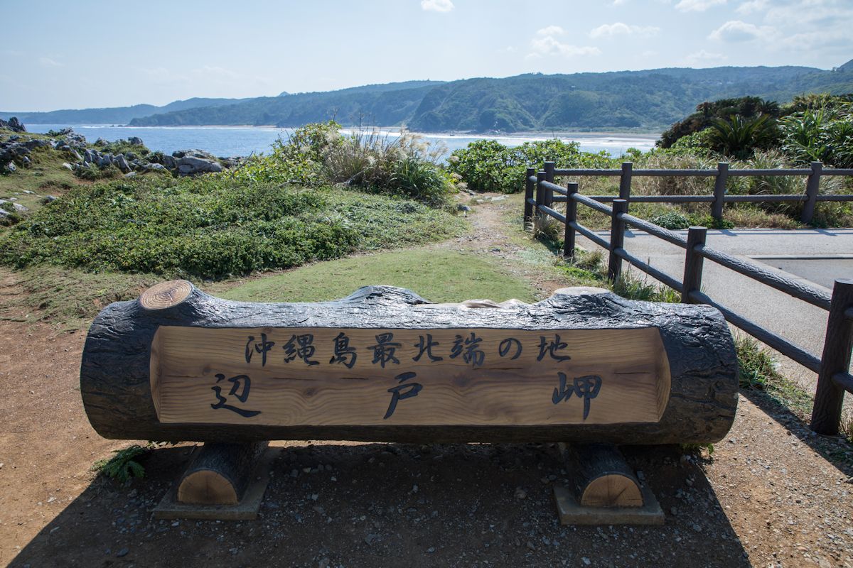 遊歩道の入口にある偽木モニュメント。記念撮影によさそう