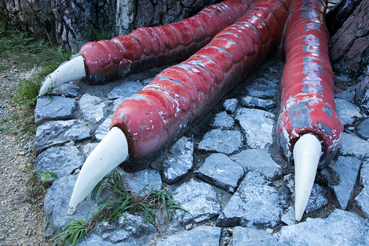 ヤンバルクイナのツメ。絶妙なリアル感がたまりません