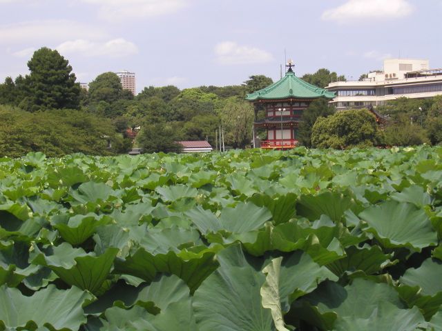 池の中央には弁天堂が