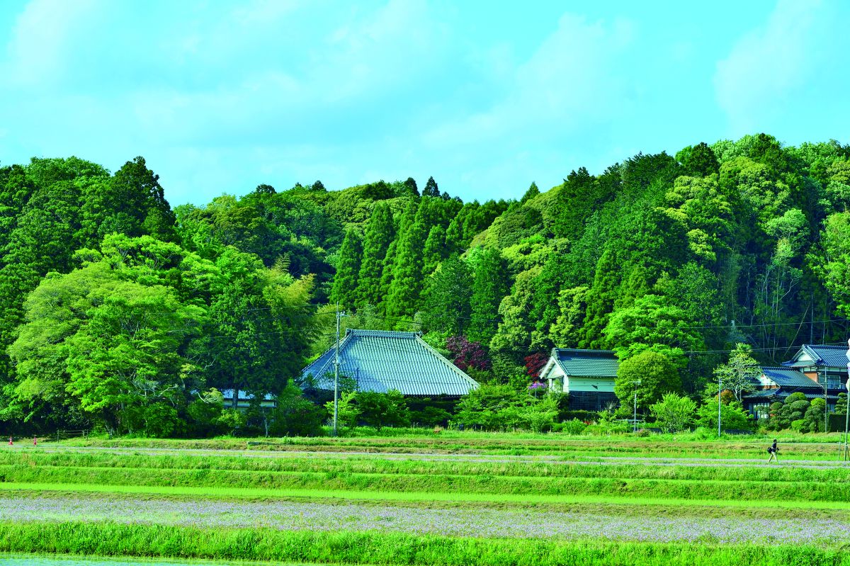 左の大きな日本家屋が「萱」、右の建物が「蔵」