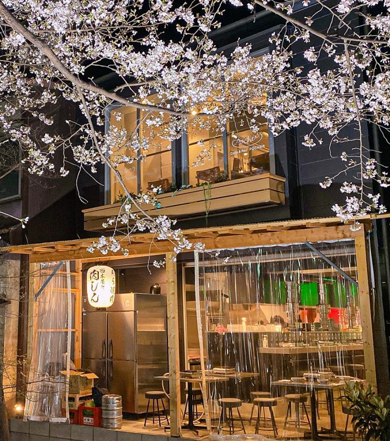 お店から夜桜見物すれば、寒さも関係なく楽しめますね