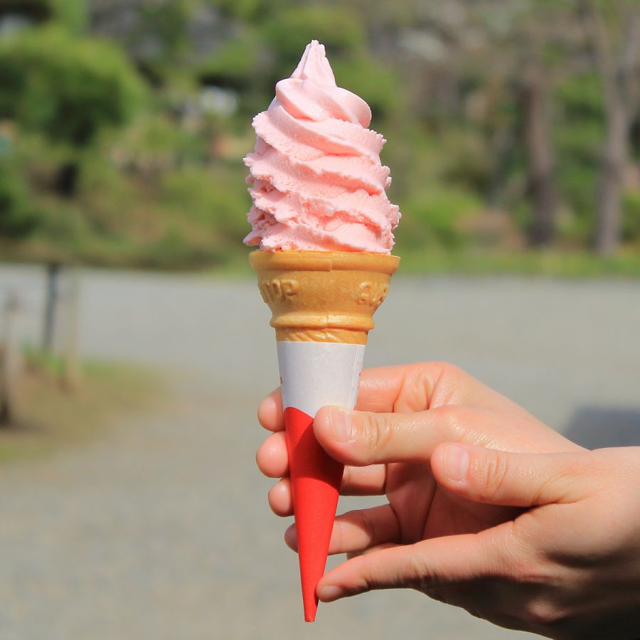 雁ヶ音茶屋《期間限定》「さくら餅ソフト」330円