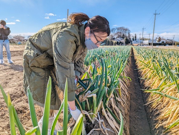 ネギ収穫体験は要・電話予約。料金は予約時に確認しよう