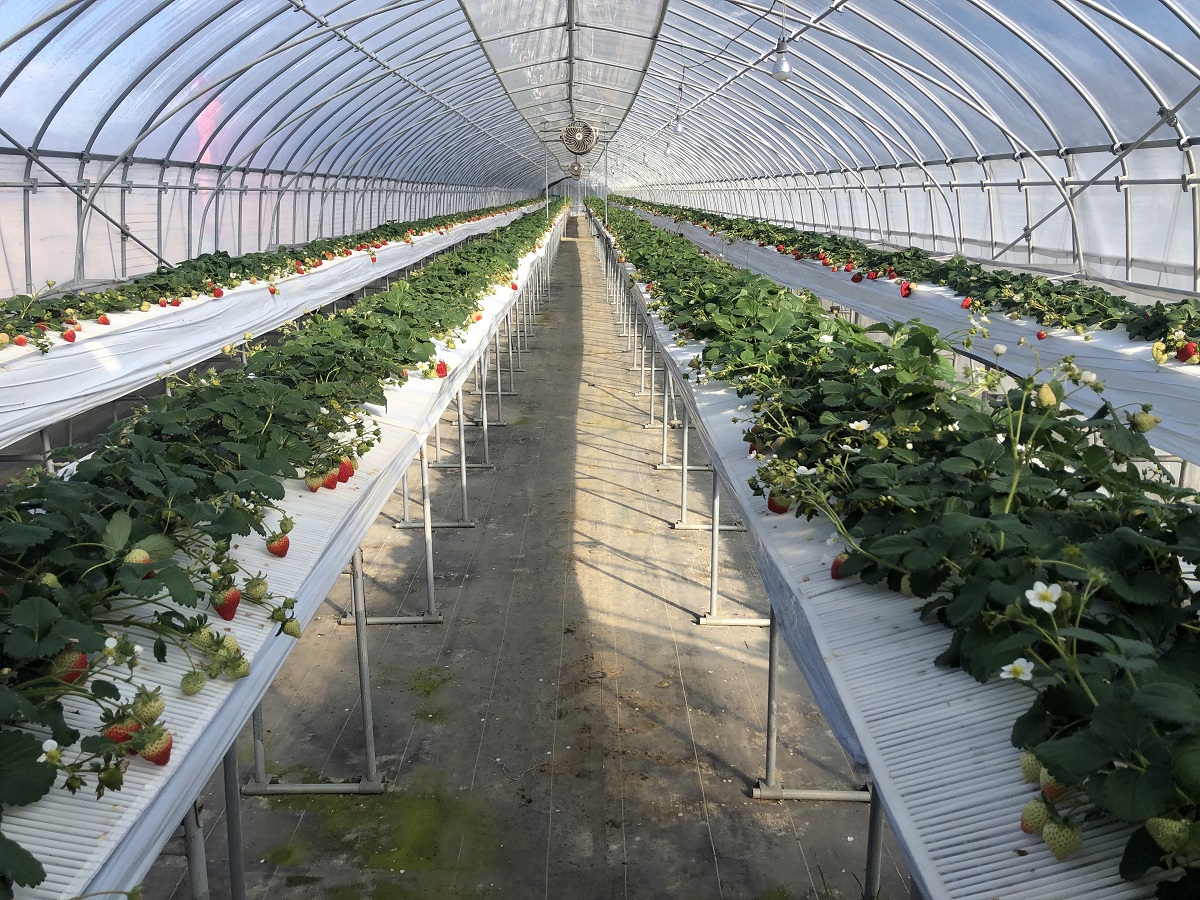 キャプション入る