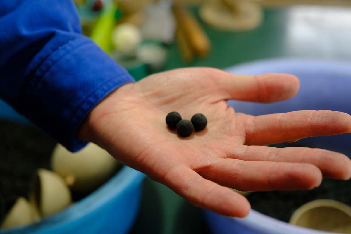 星とよばれる粒状の火薬。この10mmの大きさになるまでゆっくりと育てられる