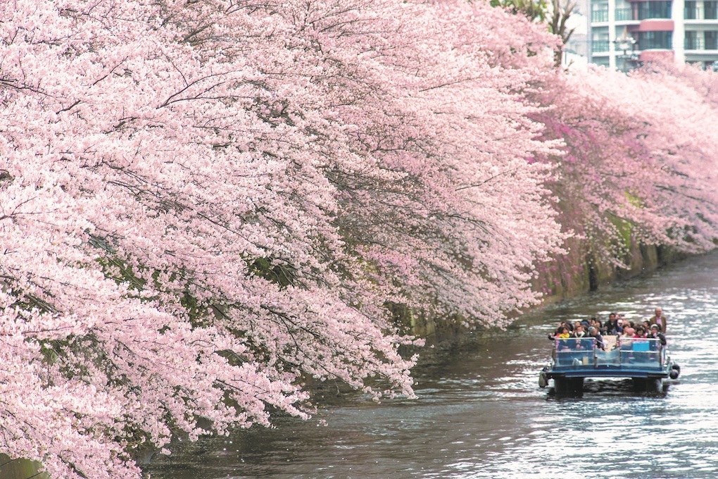 気軽に楽しめるようにと大人（中学生以上）は3900円