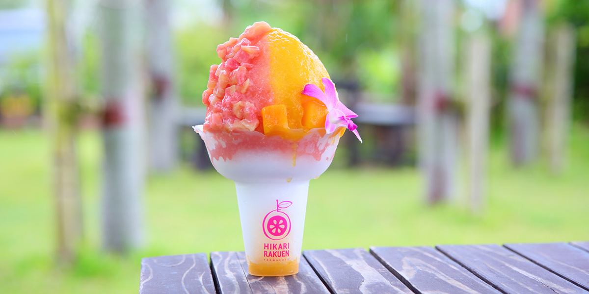 石垣島のひんやりトロピカルスイーツにキュン、「光楽園」の絶品ラインナップ