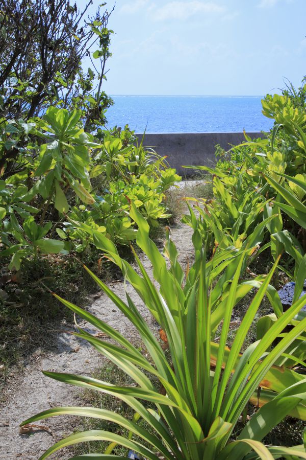 白保の海岸が目の前に!