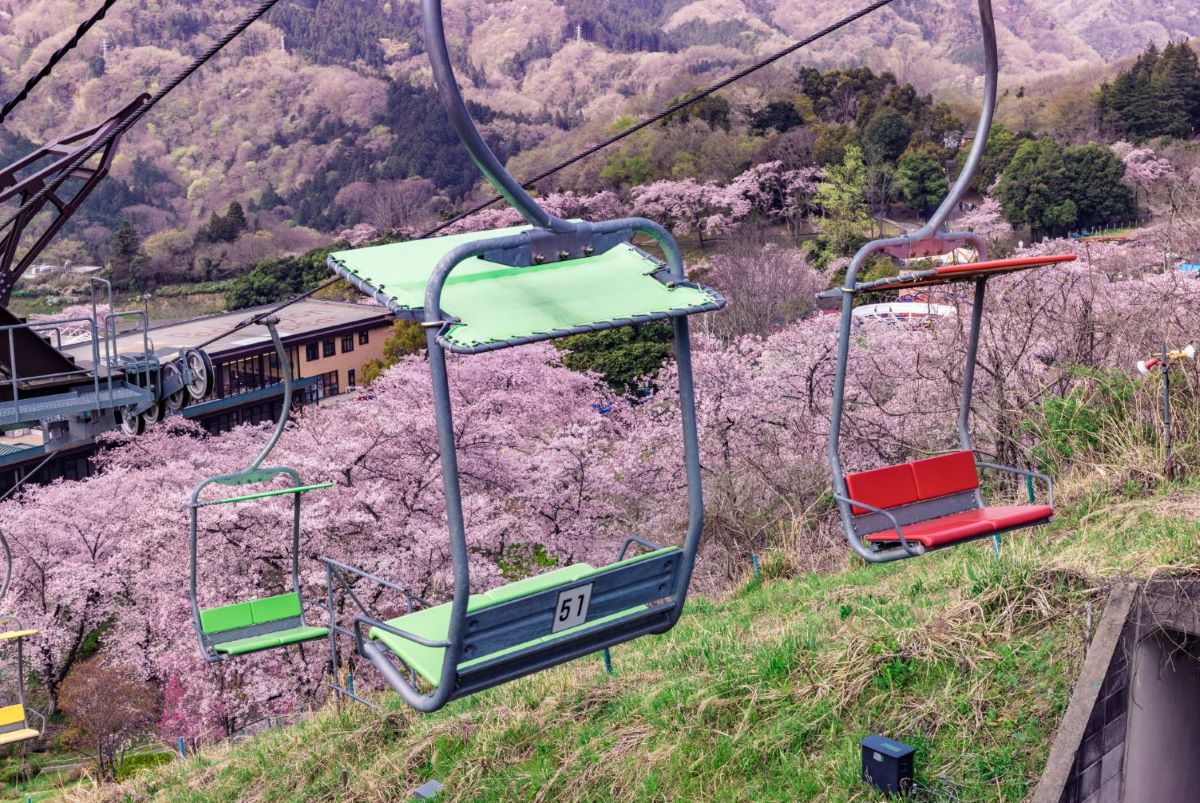 絶景のお花見リフトで春らしい“映え”写真を